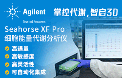 Seahorse XF Pro �(x��)�����x�z�y�����x