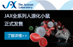 �ܿ�ɭȫϵ����Դ��С��