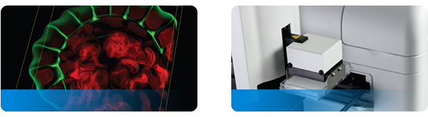 ΢�װ�z�y(c��)�c��(x��)��������Q����