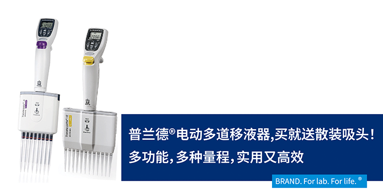 BRAND늄�(d��ng)�����Һ��