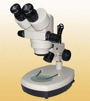 �B�m(x��)׃���wҕ�@΢�R