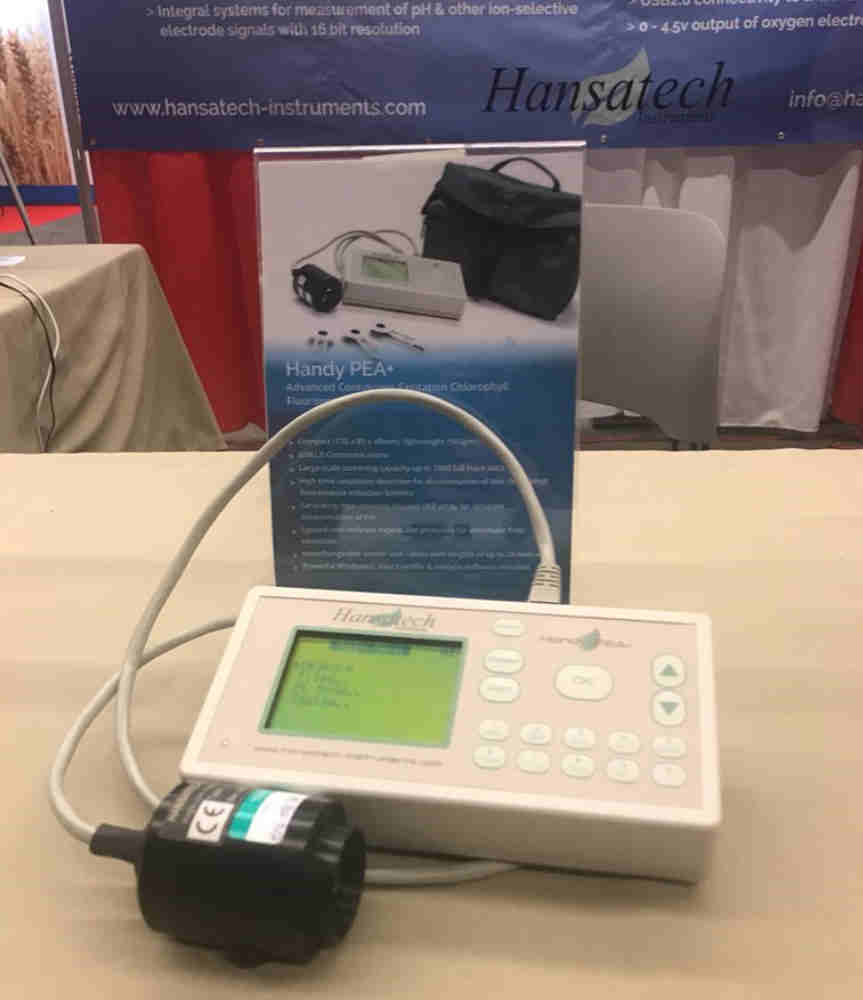 ֲ��Ч�ʃx(�ɹ�x)