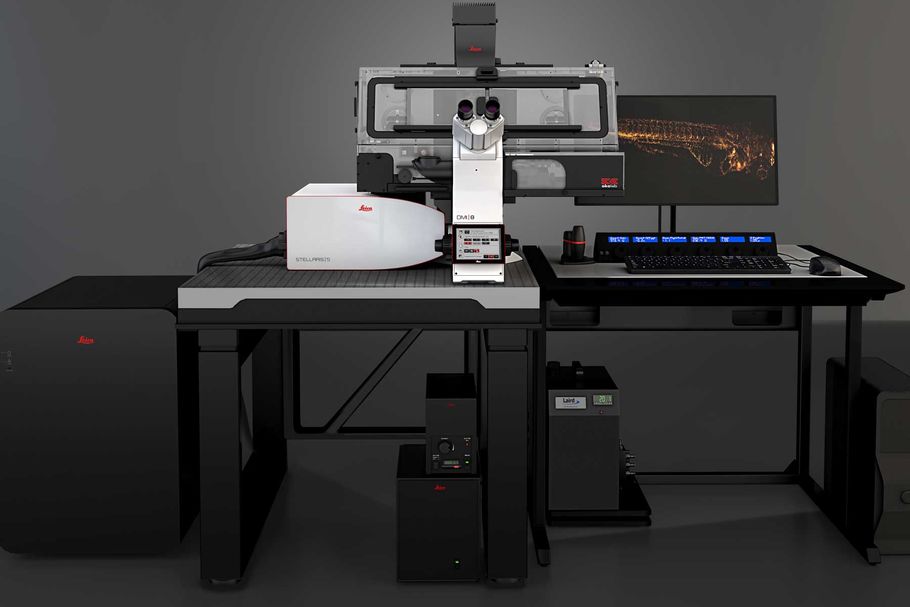 ���ƿ� ��(sh��)�ֹ�Ƭ�@΢�R STELLARIS DLS