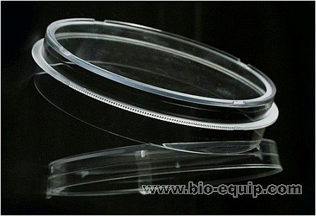 һ���Լ�(x��)�����B(y��ng)��