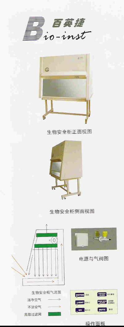 ��Ӣ�����ﰲȫ��