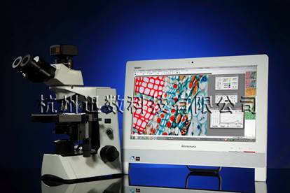 Ѹ��(sh��)MIC3/MIC2�@΢�D�����ϵ�y(t��ng)