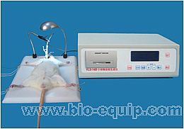 С��(d��ng)��Ѫ˨���Ƀx