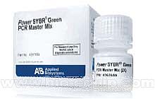 Power SYBR&reg; Greenԇ����