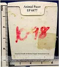 �������K����