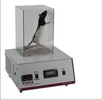 ���P�yʹ�xBIO-CHP