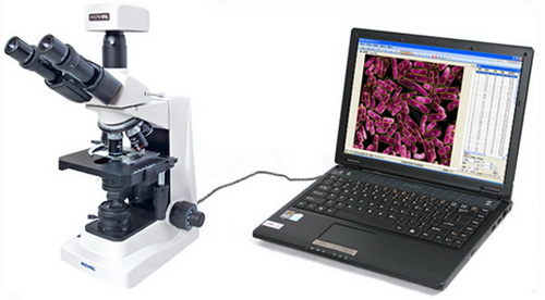 MIA-V細(xì)胞計(jì)數(shù)儀/細(xì)胞分析儀/形態(tài)學(xué)分析