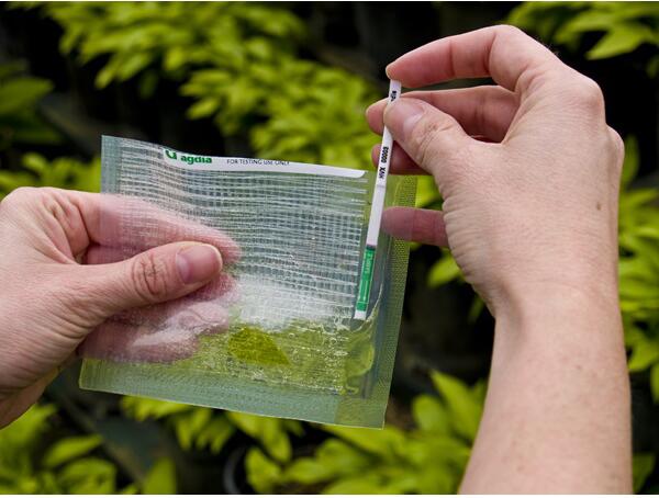 ���ݲ������ٙz�y(c��)ԇ���lTMV CMV PVY