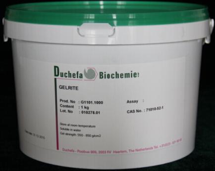 ���Ѻڭh(hu��n)�������w