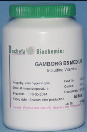 �����S�~�������w