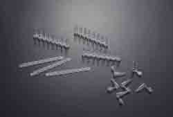 һ����PCR��