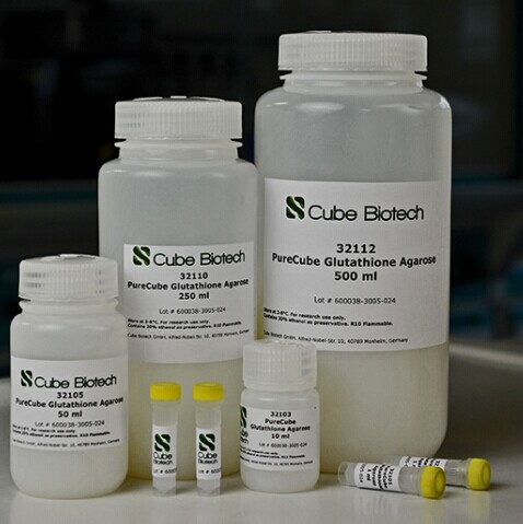 PureCube GST ��֬��