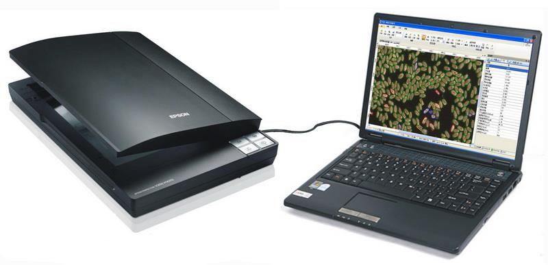 SC-M型Ai智能籽粒外觀品質(zhì)分類識(shí)別檢測(cè)儀