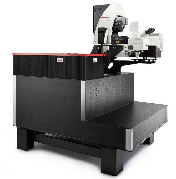 ���ƿ� ���۽��@΢�R STELLARIS DIVE