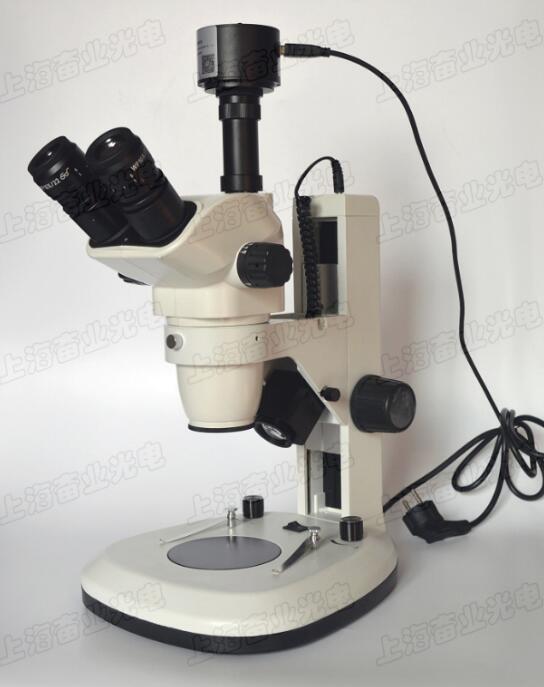 300�f(w��n)������X�wҕ�@΢�R6.5-55��