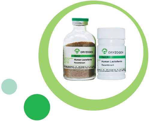 植物源重組人乳鐵蛋白LF
