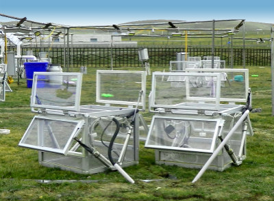 Ⱥ����ͬ����