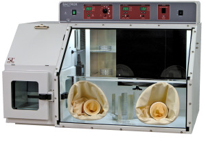 ΢������վ