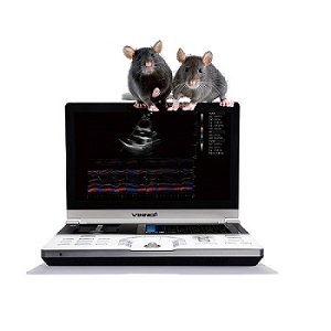 С���ﳬ����ϵ�y(t��ng)