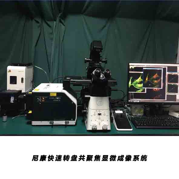 NIKON�����D(zhu��n)�Pʽ���۽��@΢����ϵ�y(t��ng)