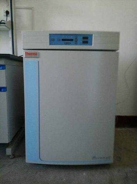 ȫϵ��ِĬ�wThermo���B(y��ng)��ٷ��ۺ�S���Ԓ