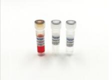 16�׳������ٴ����ܣ��yɫ��