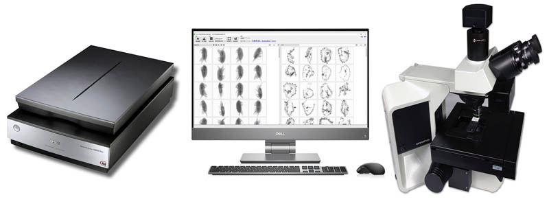 ���(l��i)���΄�(d��ng)���Ԅ�(d��ng)���(l��i)Ӌ(j��)��(sh��)�x���ܶșz�y(c��)�x