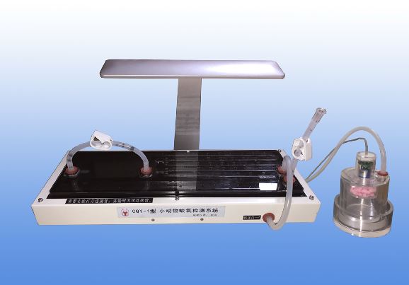 CQY-1С����ȱ���z�yϵ�y(t��ng)