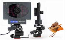 BTS �����\(y��n)��(d��ng)������׽ϵ�y(t��ng)