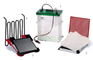 ����BIO-RAD���͝�ʽ�Dӡ��