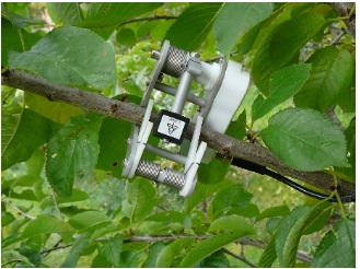 EMS-ETֲ���������B(t��i)�O(ji��n)�yϵ�y(t��ng)