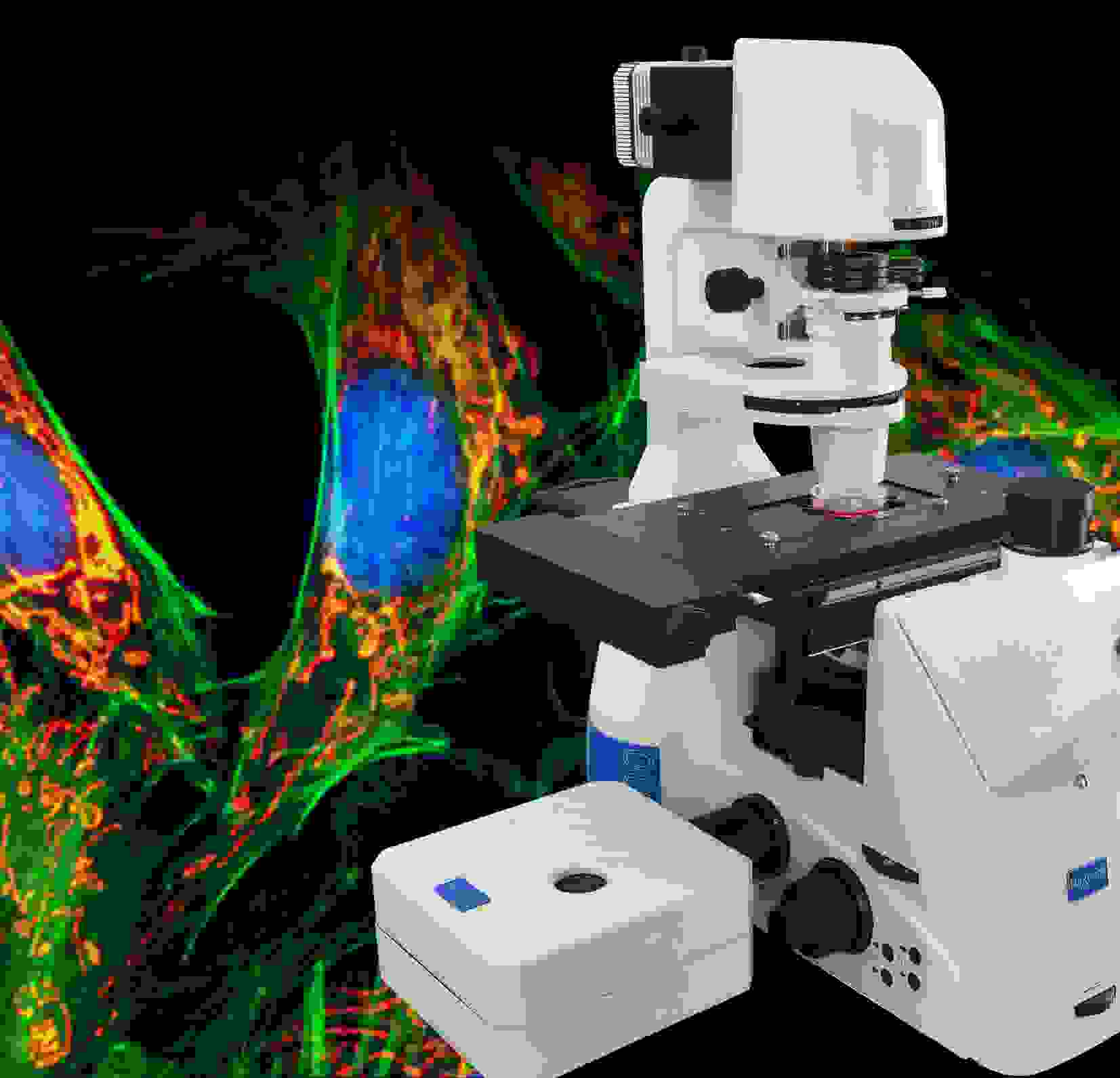 ������蹲�۽��@΢�R