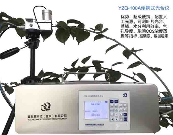 ��yʽ��σx�����p��