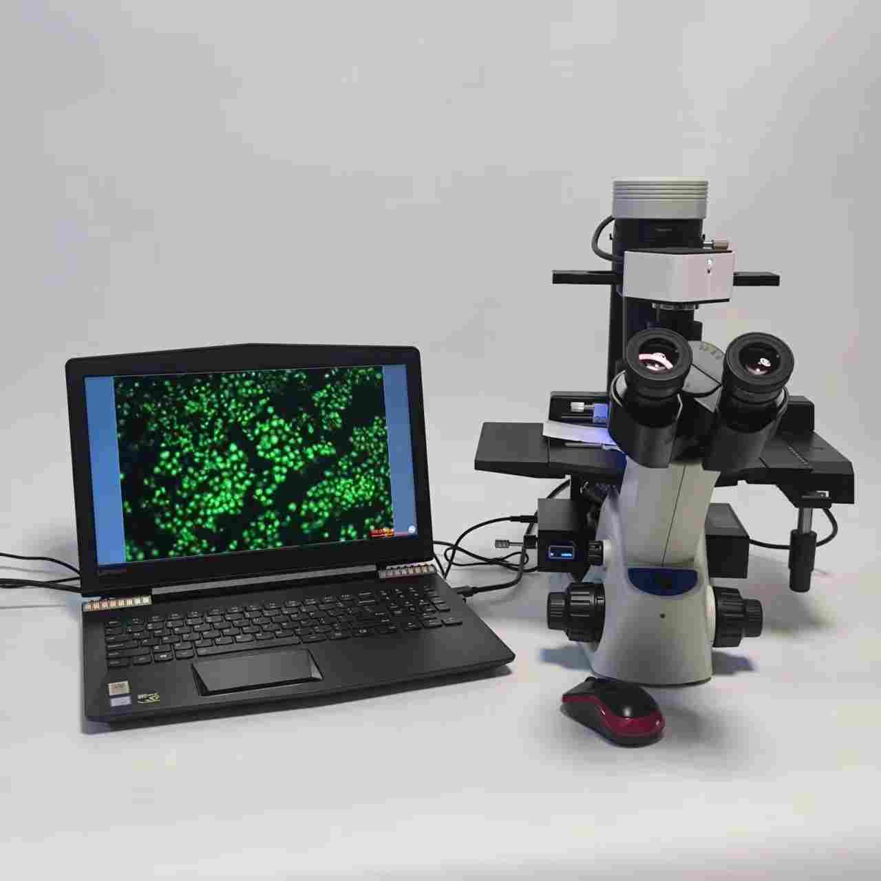 �W�ְ�˹CXK53LED��ɫ���ßɹ��@΢�R