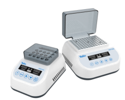 �ӟ������ؽ���ԡ