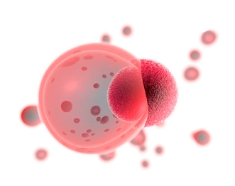 �ܰͼ�����Ⱥ�z�yԇ����