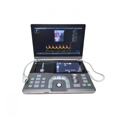 D10 LAB  ��y�߶�С���ﳬ����ϵ�y(t��ng)