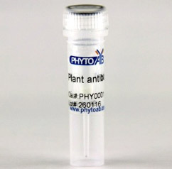 ���z���خ��M����CENH3���w