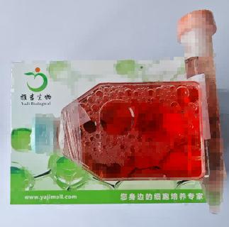 �����Թ����԰�Ѫ������ϵ��ù�ؼ�����ˎ��