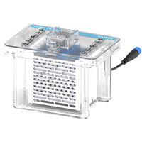 XinBLot �D(zhu��n)ӡ��