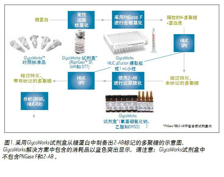 ����N-�Ƿ����Ćδ��ú͸�ͨ��HILIC SPE��IgG��(du��)�՘�(bi��o)��(zh��n)Ʒ