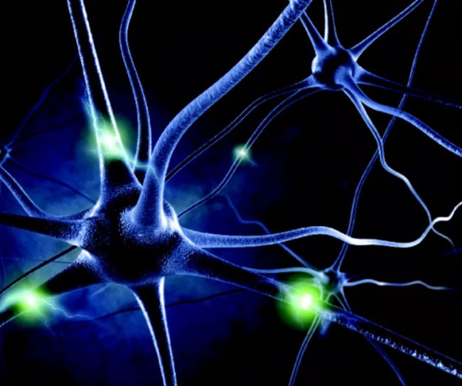 ���wӛ�Ԕ����һ�Ď���Ԕ���˽���wӛ䛌��