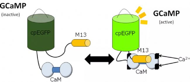 ���wӛ�Ԕ����һ�Ď���Ԕ���˽���wӛ䛌��