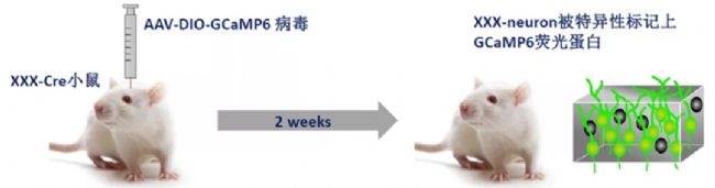 ���wӛ�Ԕ����һ�Ď���Ԕ���˽���wӛ䛌��