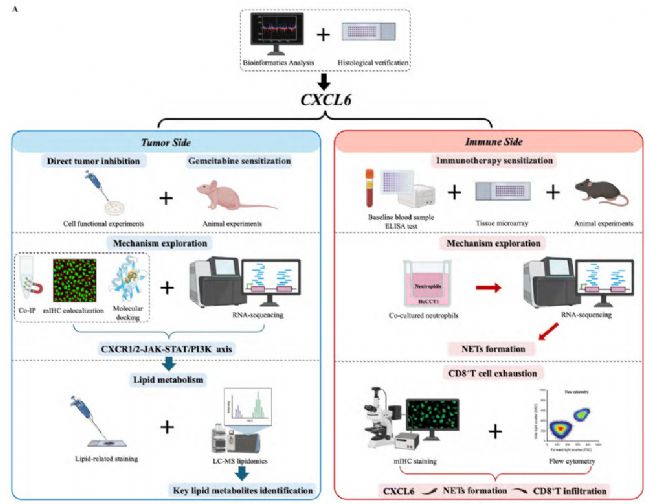 ԭ�ĺ���˼·�D