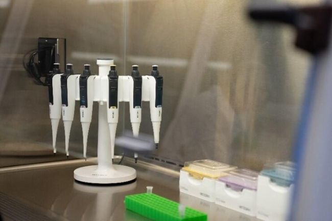 ���ڳ��������_�е�Flex���֧���ϴ����6֧SWITCH�������Һ����